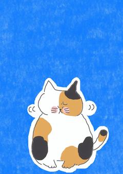 嫌がる三毛猫ちゃん 嫌がる三毛猫ちゃん かわいい,嫌,きらい,だめ,禁止,不満,不服,文句,不機嫌,中止のイラスト素材
