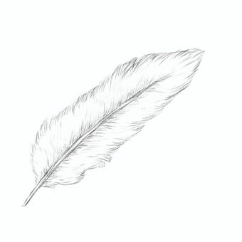 羽毛 - 素描, JPG 和 PNG 羽毛 - 素描, 羽毛, 素描, 鉛筆画, JPG 和 PNG