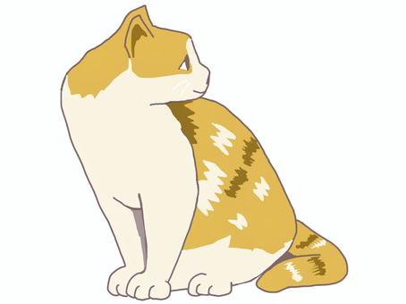横向きの茶トラ猫 横向きの茶トラ猫 横向き,猫,茶トラ,振り向く,見つめる,リアル,ペット,かわいい,一匹,シンプルのイラスト素材