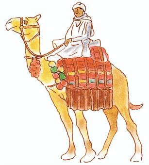 ラクダに乗る現地の人