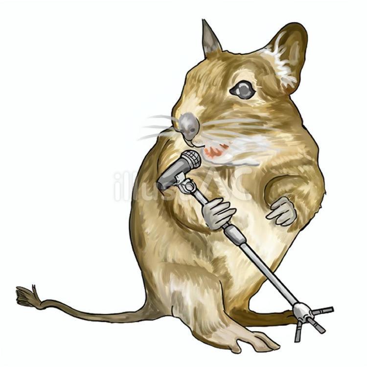 デグーマウス デグー,ネズミ,齧歯類のイラスト素材