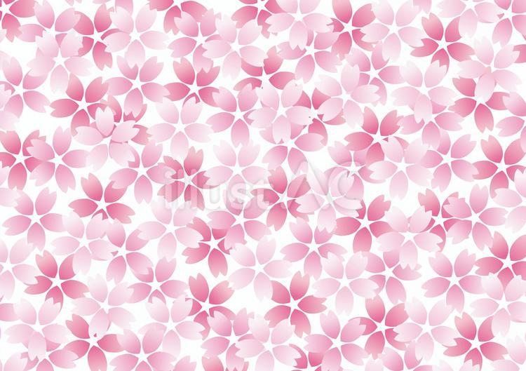 Free Vectors | cherry blossom background