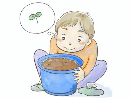 種まきして芽が出るのを待っている男の子 水彩,男の子,子ども,種まき,種,芽,発芽,手描き,小学生,幼稚園のイラスト素材