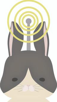 收音機_接收_兔子_荷蘭語, JPG, PNG 和 AI 收音機_接收_兔子_荷蘭語, 電磁波, 前台, 動物, JPG, PNG 和 AI