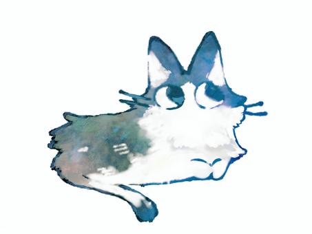 Cute fluffy bee patterned cat 01, cat, animal, hachi ware, JPG and PNG