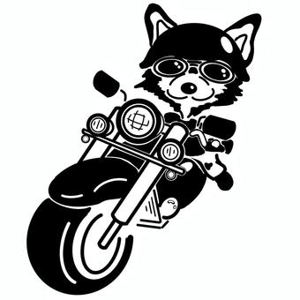 American bike and chihuahua, JPG and PNG American bike and chihuahua, अमेरिकी बाइक, चिहुआहुआ, बाइक, JPG and PNG