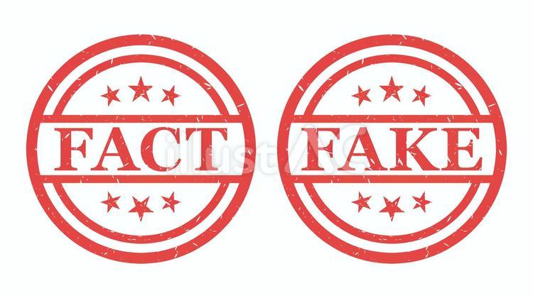 ファクトとフェイクをチェックするスタンプ ファクト,フェイク,ファクトチェックのイラスト素材