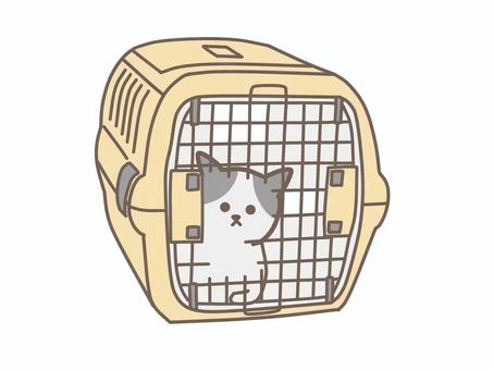 クレートに入れられた猫 動物,ペット,犬,猫,獣医,獣医師,治療,動物病院,かわいい,クレートのイラスト素材