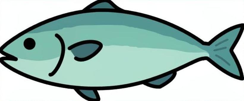 売場の大きい魚です。 魚,シンプル,鮮魚,売場,販売,コーナー,取り扱い,展示,流通のイラスト素材
