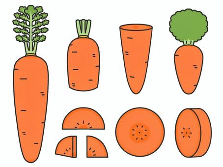にんじん　色あり にんじん,輪切り,デフォルメのイラスト素材