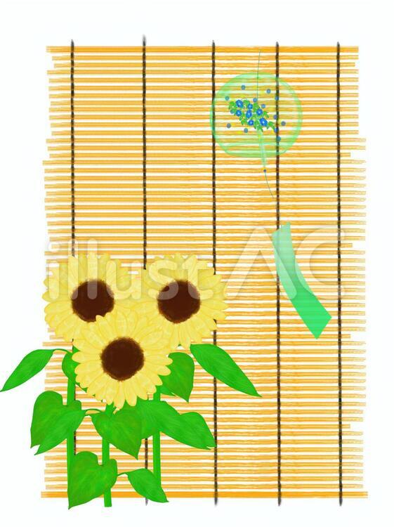 ひまわりと簾 夏,ひまわり,花のイラスト素材