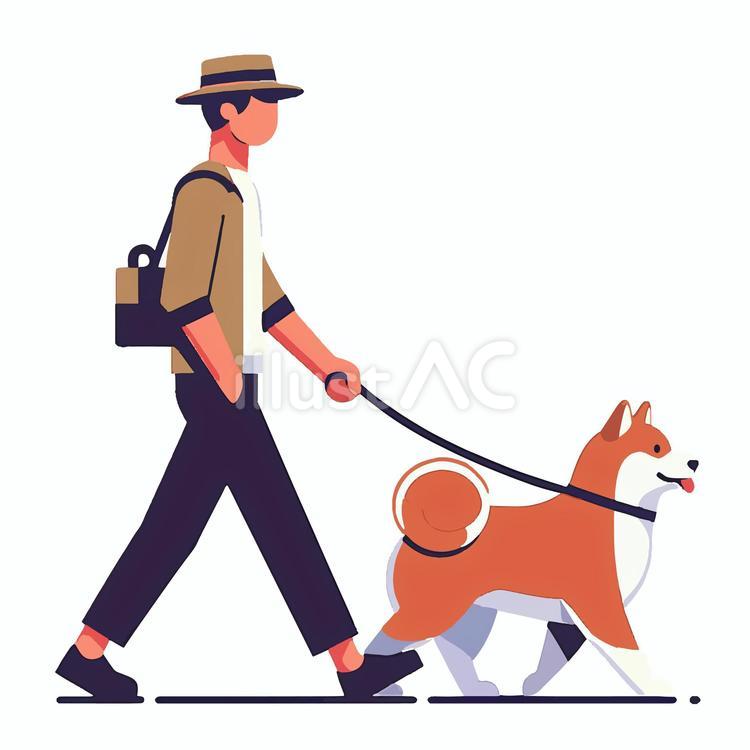 散歩をする柴 柴犬,散歩,飼い主のイラスト素材