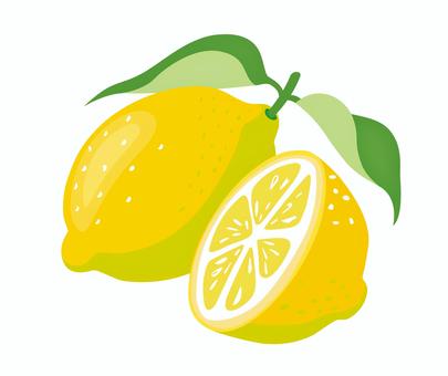 レモン レモン,フレッシュ,果物,フルーツ,丸ごとレモン,切ったレモン,葉のイラスト素材
