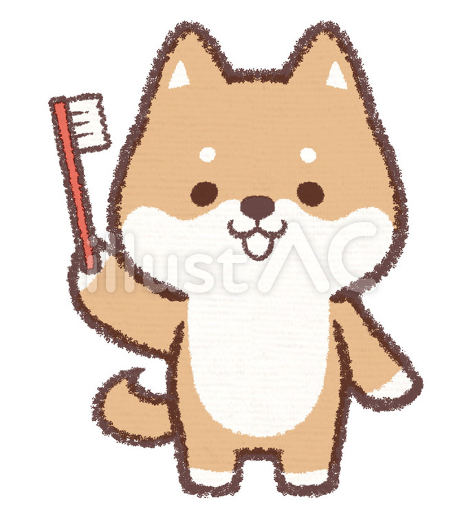 歯みがきイヌ 犬,柴犬,動物のイラスト素材