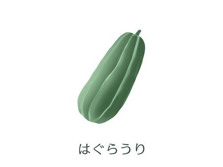うり（はぐらうり）野菜名入り はぐらうり,夏野菜,夏,瓜類,食材,和食,植物,千葉県,緑,漬物のイラスト素材