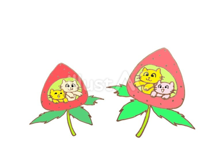 イチゴの家の猫たち 猫,イチゴ,赤いのイラスト素材