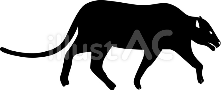 猛獣　ライオン　獣　忍び寄る 猛獣,ライオン,獣のイラスト素材
