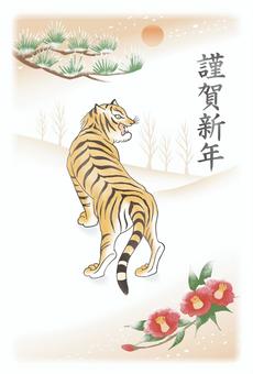 虎 年賀状 正月 寅 寅年 新年 虎,寅年,寅,お正月,正月,年賀状,椿,松,シンプル,渋いのイラスト素材