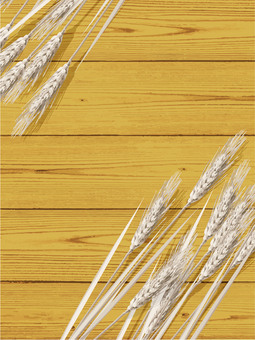 小麦色の麦穂と板の背景3　mugi009 麦穂,小麦色,リアル,ナチュラル,お洒落,自然,植物,大人っぽい,枠,背景のイラスト素材