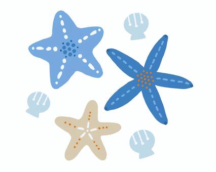 ヒトデと貝 ヒトデ,夏,貝,飾り,シンプル,デザイン,貝殻,海,海辺,素材のイラスト素材