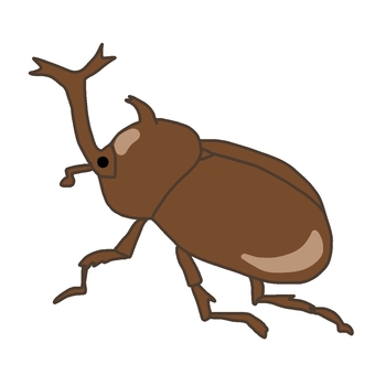 カブトムシ カブトムシ,虫取り,虫,森,林,木,樹液,夏,7月,8月のイラスト素材