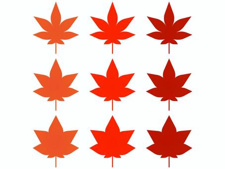 Illustration, autumn leaves, leaf, autumn, 