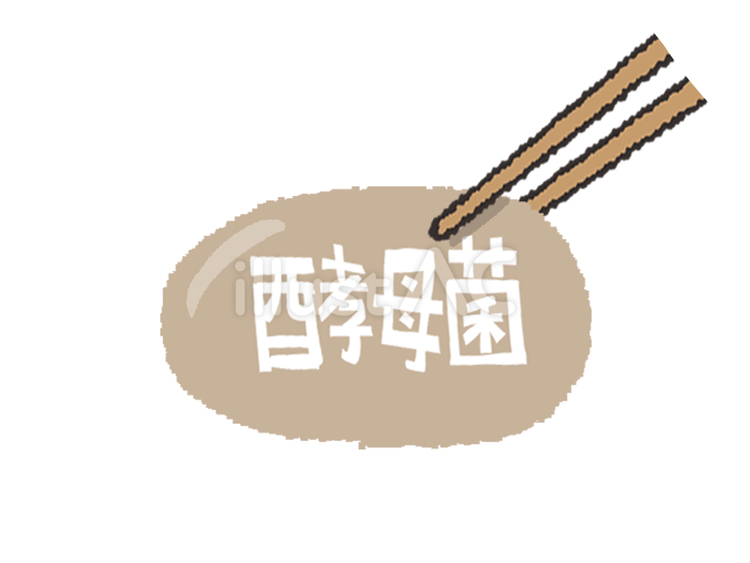 酵母菌 酵母菌,文字絵,箸のイラスト素材