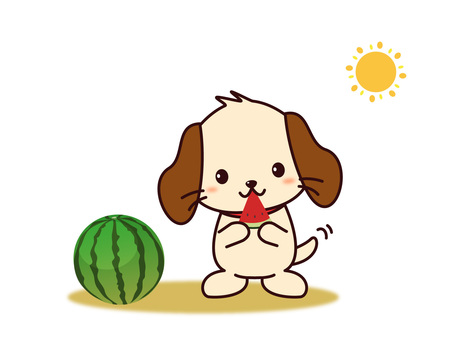 Illustration, dog, watermelon, summer, 