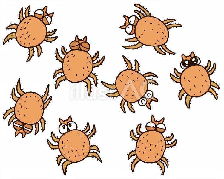 ダニ（複数） ダニ,ハウスダスト,節足動物のイラスト素材