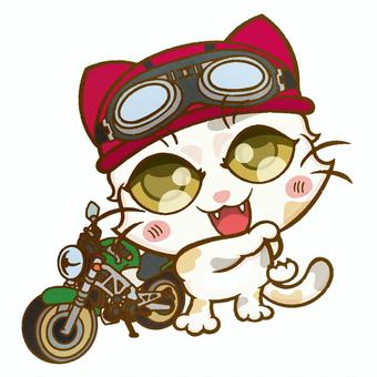 motorcycle and pastel calico cat, , JPG and PNG