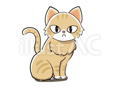 トラネコ