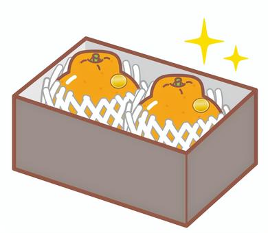 箱入り高級でこぽん 箱入り高級でこぽん でこぽん,高級,箱入り,贈答,柑橘,不知火,果物のイラスト素材