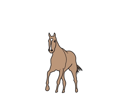 馬 馬,動物,生き物,哺乳類,サラブレッド,競走馬,野生,自然,ポニー,干支のイラスト素材