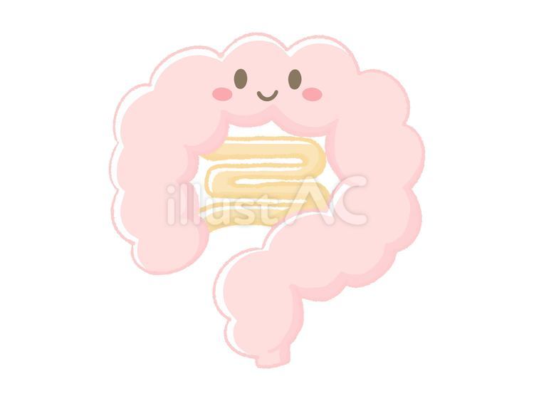 手描きの笑顔の腸 腸,大腸,小腸のイラスト素材