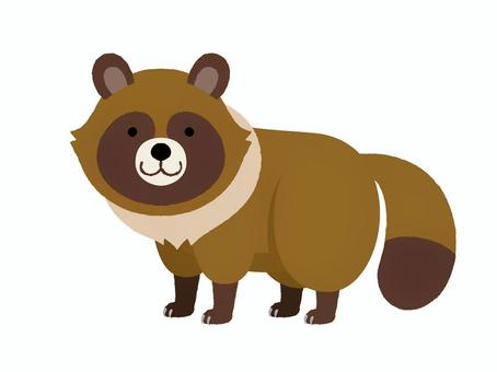 たぬき　こちらを向いているたぬき たぬき,尻尾,昔話,民話,ぶんぶくちゃがま,秋,野,山,里,変身のイラスト素材