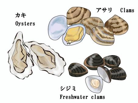 貝　セット素材 カキ,アサリ,シジミ,貝,オイスター,oysters,clams,freshwater,カイ,貝類のイラスト素材