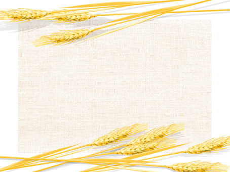 黄金色の麦穂と麻布の背景　005 麦穂,黄金色,リアル,ナチュラル,お洒落,自然,植物,大人っぽい,枠,背景のイラスト素材