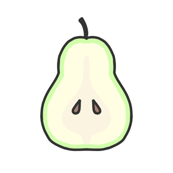 洋梨の断面 洋梨,断面,果物,フルーツ,食べ物,シンプルのイラスト素材