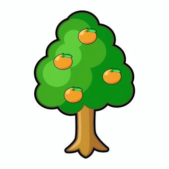 Illustration of tangerine tree, JPG and PNG Illustration of tangerine tree, mandarin orange, fruit trees, fruit, JPG and PNG