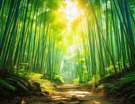 Bamboo Forest 2, JPG Bamboo Forest 2, bamboo forest, bamboo, sunlight, JPG