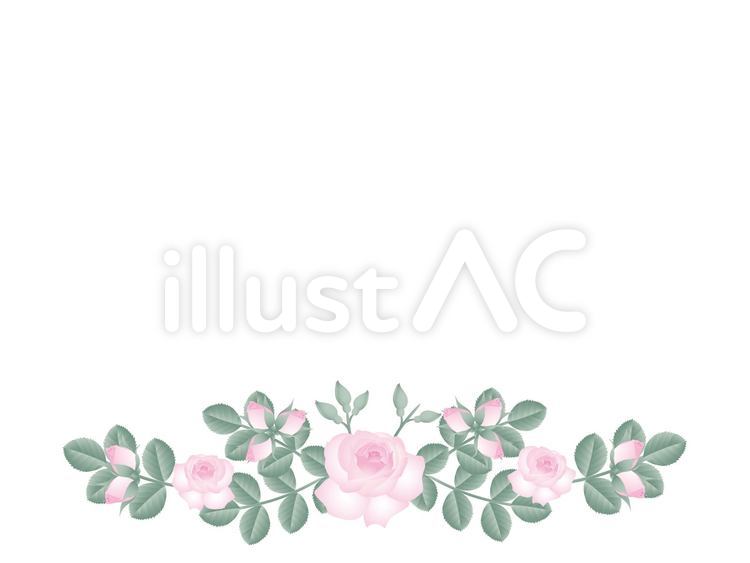 薔薇の花-フレーム-ピンク３ 薔薇,花,蕾のイラスト素材