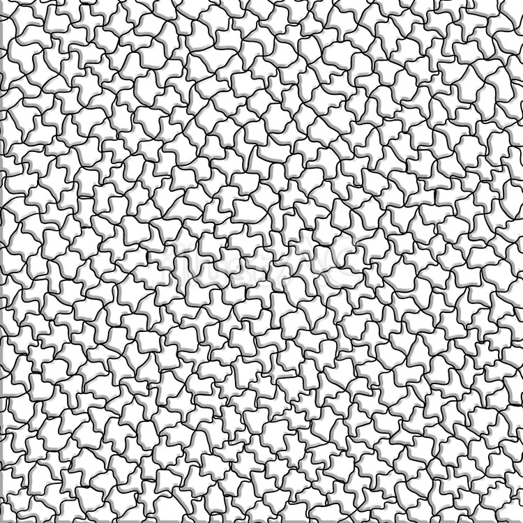 網目　　 網目,抽象的,パズルのイラスト素材