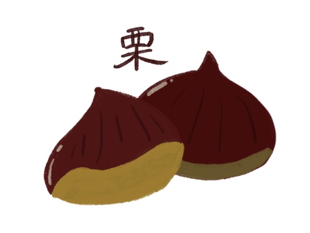 栗 10月,9月,秋祭り,栗,くり,クリ,秋,秋の味覚,食べ物,食材のイラスト素材
