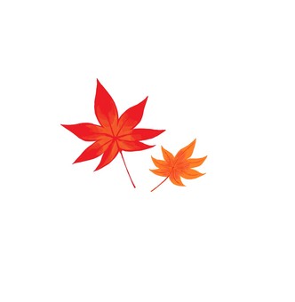 단풍, JPG 단풍, 단풍, 2 장, 가을, JPG