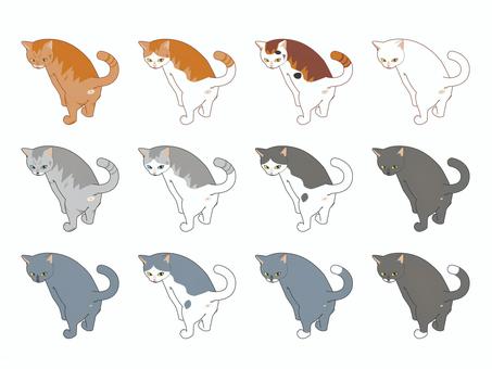 Illustration, cat, animal, a pet, 