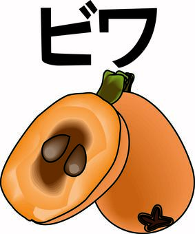 ビワ  ビワ  ビワ,果物,枝,熟す,栽培,カット,イメージ,線画,カタカナ,立体のイラスト素材