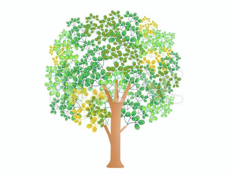 木のイラスト 木,葉っぱ,カラフルのイラスト素材