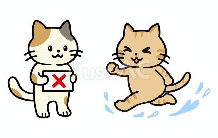 プールサイド走行の禁止をするミケネコ 走行禁止,プール,走るのイラスト素材