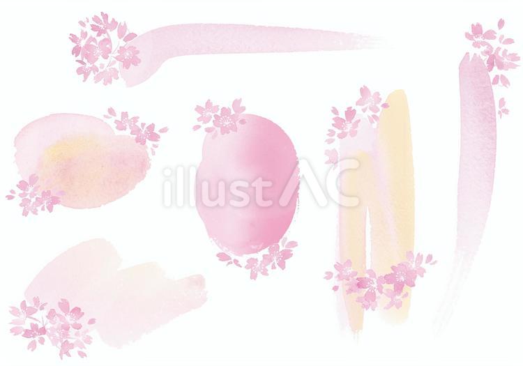 桜の見出し　色面に桜　文字なし 桜,春,見出しのイラスト素材