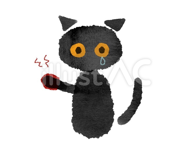 手に怪我をした黒猫 動物,猫,黒猫のイラスト素材